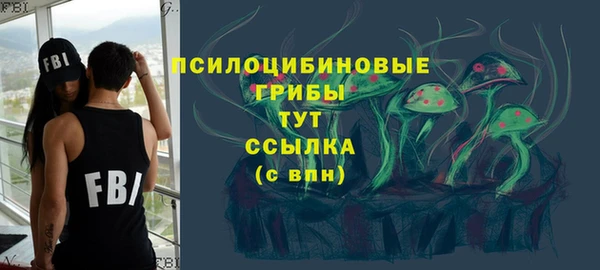 apvp Карпинск