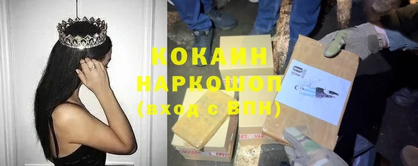 apvp Карпинск
