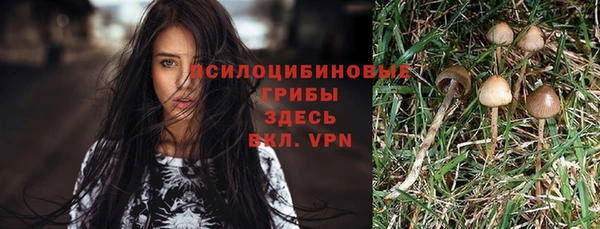 синтетический гашиш Касимов