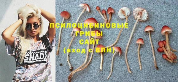 синтетический гашиш Касимов