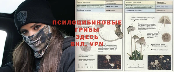 кокаин премиум Карталы