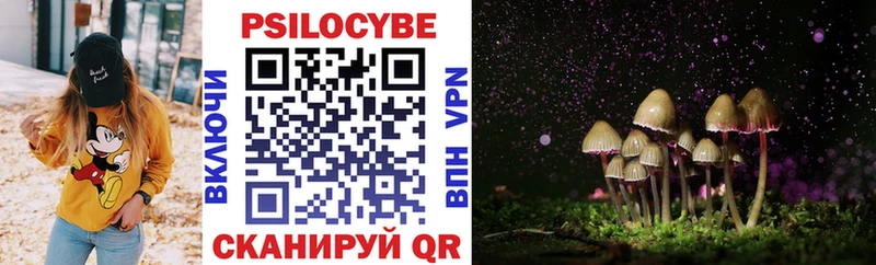 Купить  Новосиль  Галлюциногенные грибы Magic Shrooms 